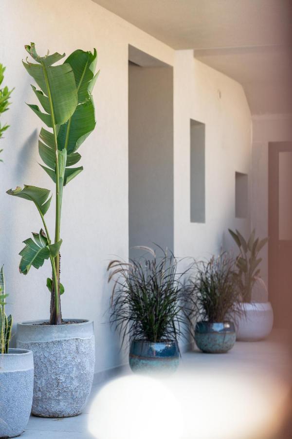 Villa Ilma Luxury Rooms Arzachena Exterior foto